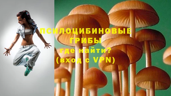 MDMA Медвежьегорск