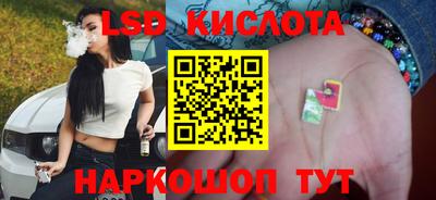 ГАЛЛЮЦИНОГЕННЫЕ ГРИБЫ Гусев