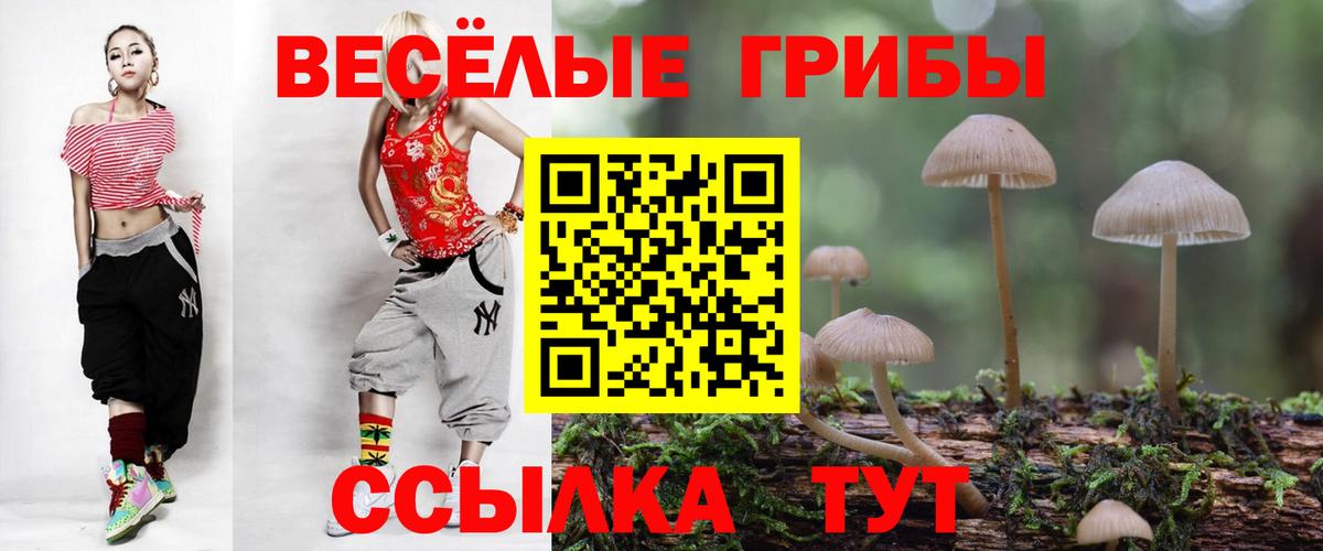 как найти наркотики  Псилоцибиновые грибы Magic Shrooms  Вход с VPN  Каспийск 