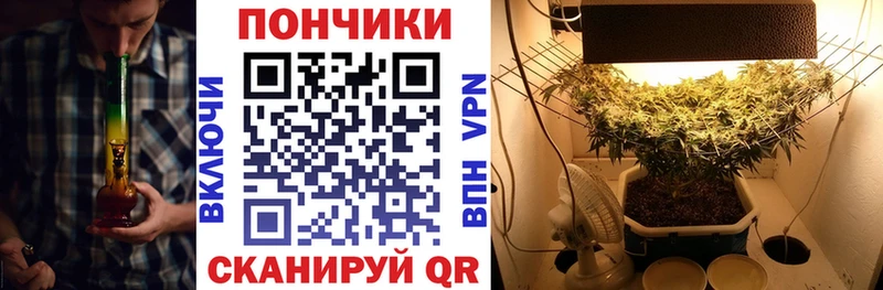 Марихуана Amnesia  цена наркотик  Каспийск 